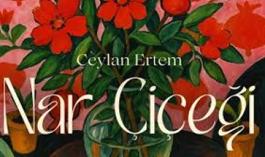 Ceylan Ertem Nar Çiçeği Şarkı Sözleri