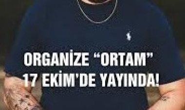 ORGANIZE - ORTAM şarkı sözleri