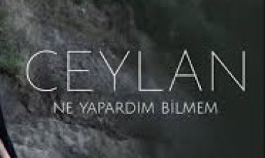 Ceylan - Ne Yapardım Bilmem