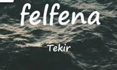 “FELFENA” Şarkı Sözleri