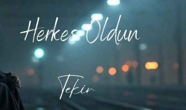 Tekir Herkes Oldun şarkı sözleri