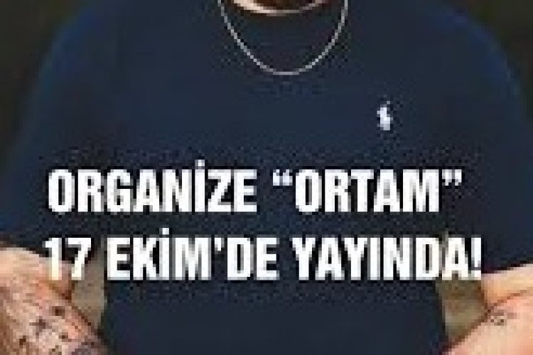 ORGANIZE - ORTAM şarkı sözleri