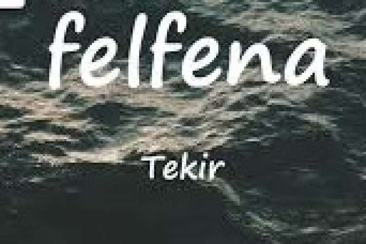“FELFENA” Şarkı Sözleri