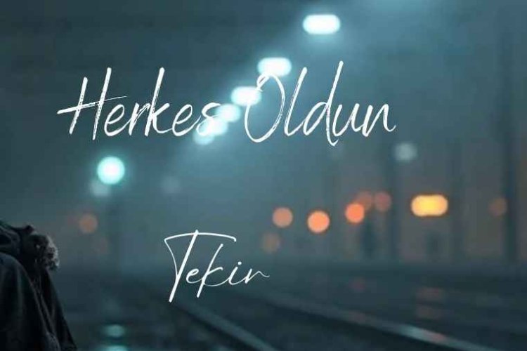 Tekir Herkes Oldun şarkı sözleri