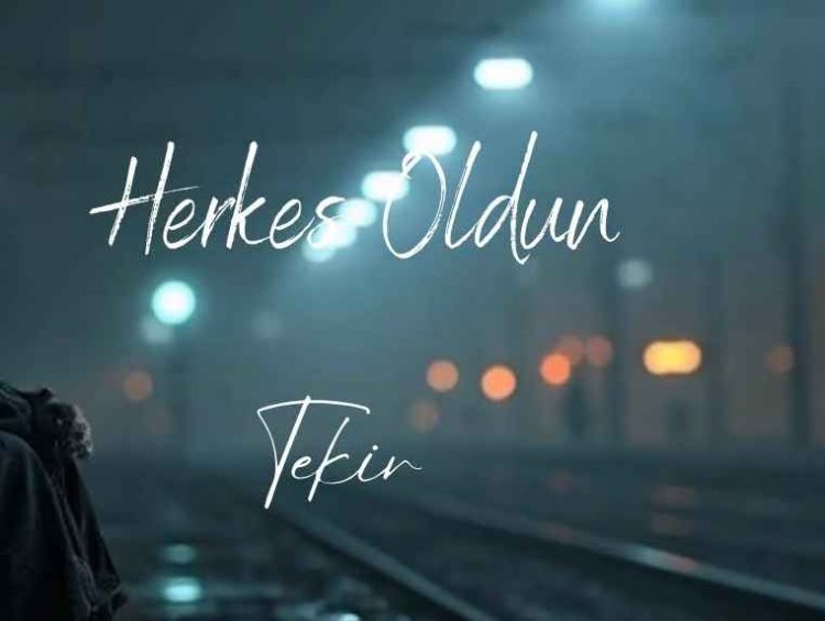 Tekir Herkes Oldun şarkı sözleri