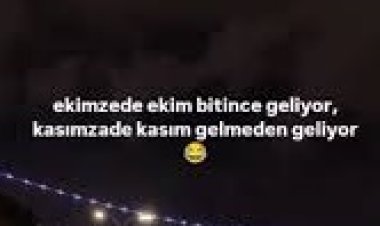 eylül koçak - kasımzade şarkı sözleri