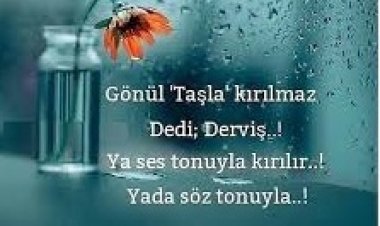 Gönül taşla kırılmaz dedi derviş