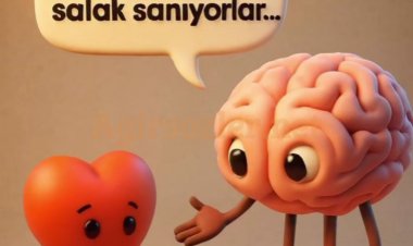 Bırakın Salak Desinler