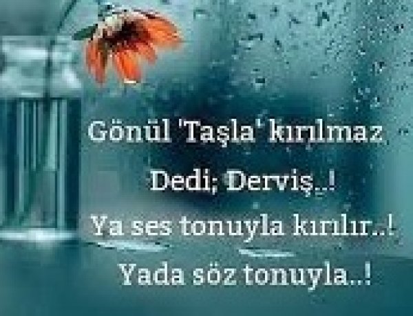 Gönül taşla kırılmaz dedi derviş