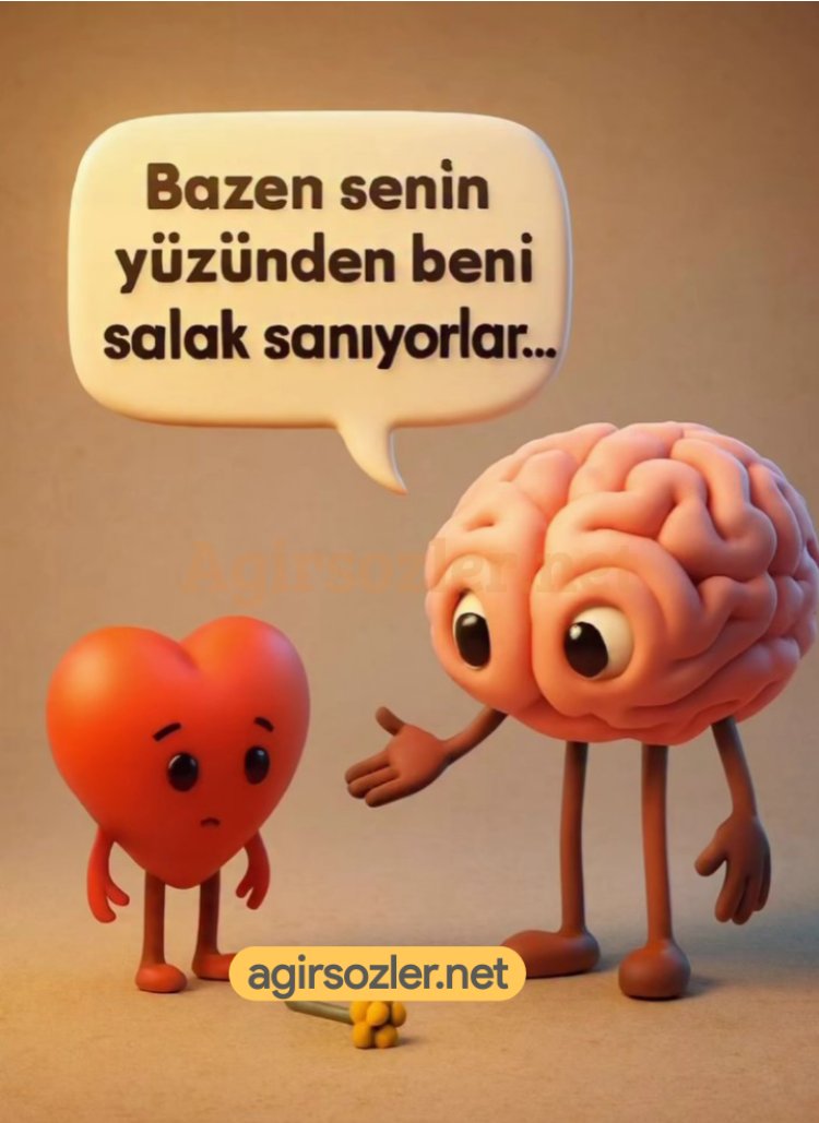 Bırakın Salak Desinler