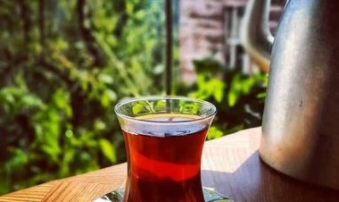 Üstünü Çizmeniz Gereken Şeylerde Kalemle İnatlaşmayın