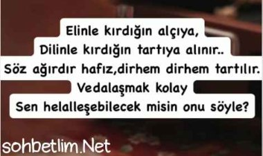 Vedalaşmak Kolay da, Sen Helalleşebilecek misin Onu Söyle