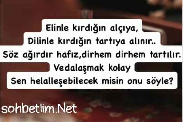 Vedalaşmak Kolay da, Sen Helalleşebilecek misin Onu Söyle