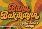 Bana Bakmayın şarkı sözleri