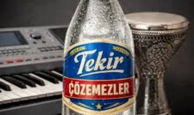 Tekir Çözemezler şarkı sözleri