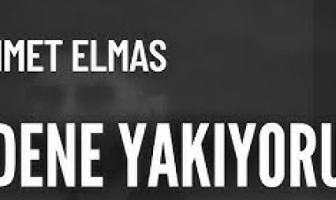 Mehmet Elmas Gidene yakıyorum