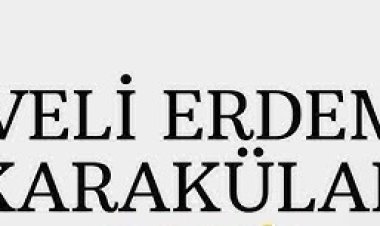 Veli Erdem Karakülah - NE DEMEK