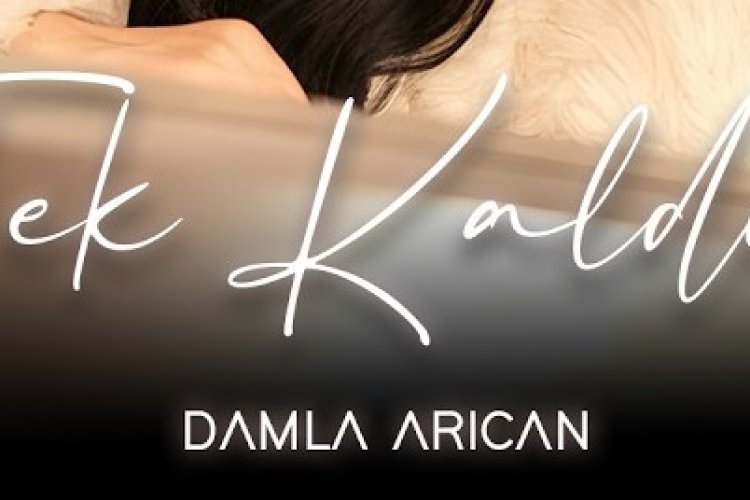 Damla Arıcan Tek Kaldım şarkı sözleri