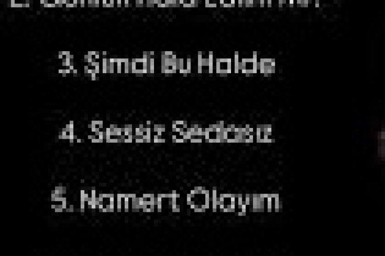 Kurtuluş Kuş Sessiz Sedasız şarkı sözleri
