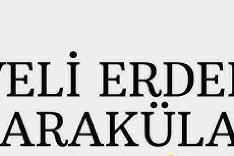 Veli Erdem Karakülah - NE DEMEK