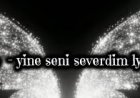 Sefo | Yine Seni Severdim | şarkı sözleri
