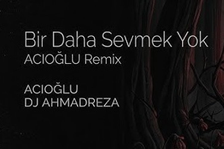 Bir Daha Sevmek Yok şarkı sözleri