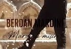 Berdan Mardini Mardinli misin şarkı sözleri