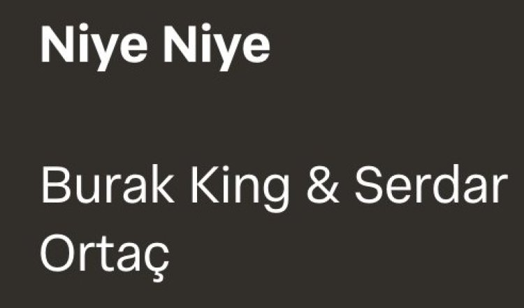 Burak King Serdar Ortaç - Niye Niye