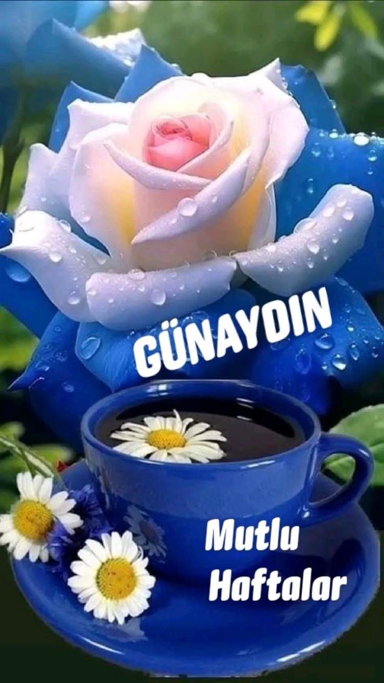 Günaydınlar, mutlu haftalar isteyenler