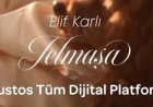 Elif Karlı Telmaşa şarkı sözleri