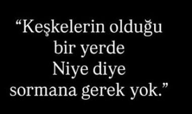 Hiç Olmayanı Çok Sayacak Yüreğe Sahibim