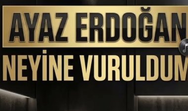 Ayaz Erdoğan - Neyine Vuruldum şarkı sözleri
