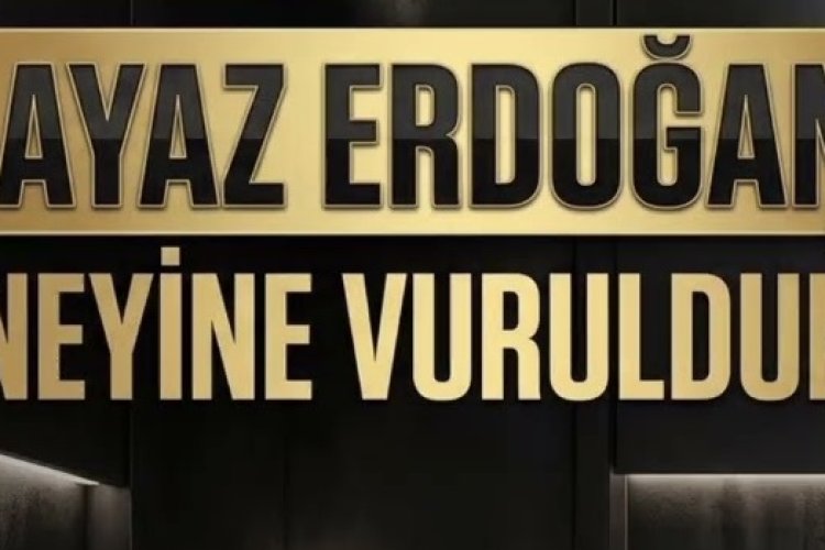 Ayaz Erdoğan - Neyine Vuruldum şarkı sözleri