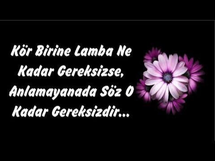 Güzel anlamlı Sözler