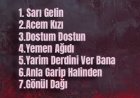 Tahir Palalı Yar Güzel şarkı sözleri