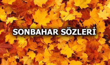 Mevsim Sonbahar Sözleri: Sonbahar İle İlgili En Anlamlı 50 Söz