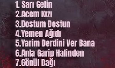 Tahir Palalı Yar Güzel şarkı sözleri