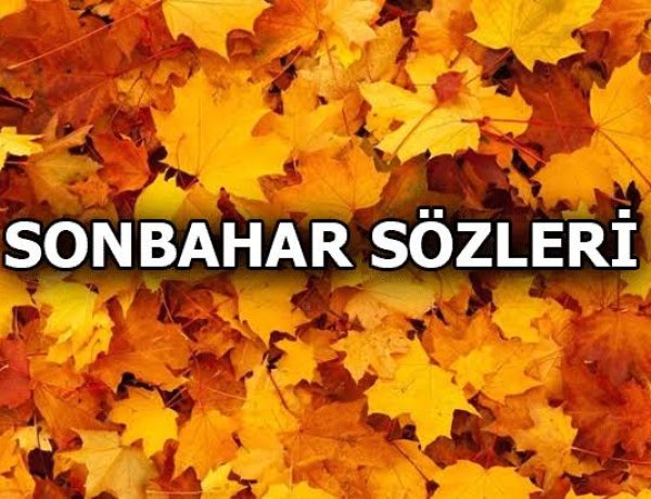 Mevsim Sonbahar Sözleri: Sonbahar İle İlgili En Anlamlı 50 Söz