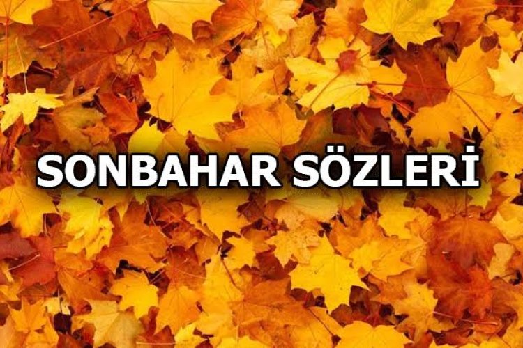 Mevsim Sonbahar Sözleri: Sonbahar İle İlgili En Anlamlı 50 Söz