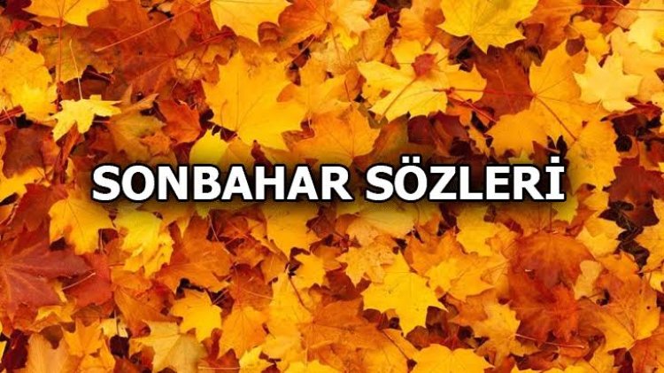 Mevsim Sonbahar Sözleri: Sonbahar İle İlgili En Anlamlı 50 Söz